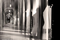 Heike_Buchborn__Der_Schatten_im_Hofgarten