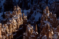 Ulli-Hohnheiser_Scan_0001-0