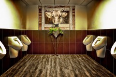 Jurgen_Bochynek-Alm-Toilette