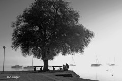 Anna_Singer_Morgenstille