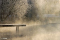 Doris_Dietze_Wintermorgen
