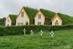 DSC04579-Heinrich_2