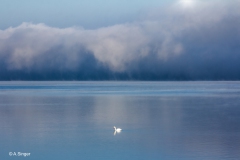 Anna_Singer_Am_Chiemsee