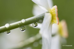 Annelies_Grasenack_Bilder_im_Bild__