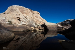Carsten_Heinelt_Joshua_Tree_Water