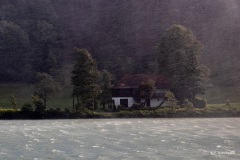 Franz_Hohnheiser_Regenschauer