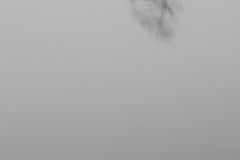 Franz_Hohnheiser_See_im_Nebel