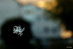 Am Fenster