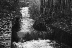 Wasser