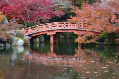 Ulrike_Hohnheiser_Japanische_Bruecke