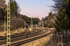 Johannes_MGL0326
