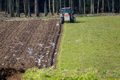 Reiner-Hulla_Feldarbeit-3zu2