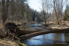 c-Annelies-Grasenack-Attel_P4B9544