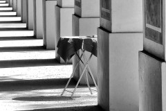 Licht und Schatten im Hofgarten
