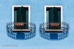 Twins