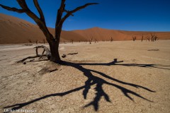 Sossusvlei