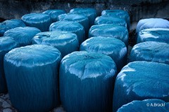 Alfons_Brueckl_Ballensilage