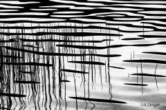 Anna_Singer_Spitzingsee