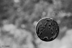 Carsten_Heinelt_-Vollpfosten-neu