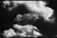 Heike_Buchborn_Der-Blick-nach-oben