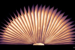 Reiner_Hulla_Buchlampe