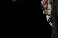 Reinhard_Neumann_Perchtenmaske