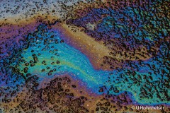 Ulrike_Hohnheiser-_Schillernd-wie-ein-Regenbogen_Oelfleck__6004