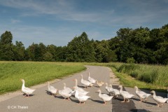 Christine_Thelen_Bitte_einen_Augenblick_warten