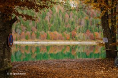 Martina_Speckmaier_Herbststimmung
