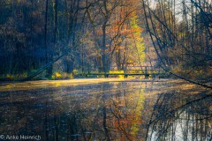 Brücke zur Stille