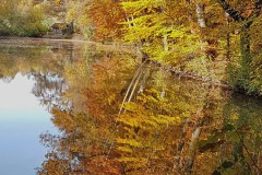 Herbst am Siegelweiher