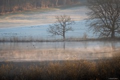 Morgens am Egglburger See