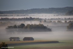 Nebelstimmung im Brucker Moos