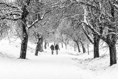 Winterspaziergang