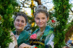 Leonhardifahrt Grafing 2024