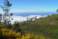 Über den Wolken auf Madeira