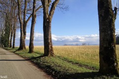 Der Weg auf's Land