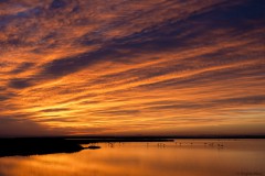 Sonnenaufgang über der Camargue