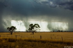 Regen
