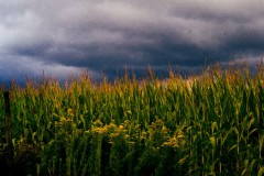 Sturm II