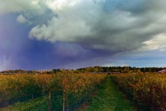 Sturm I