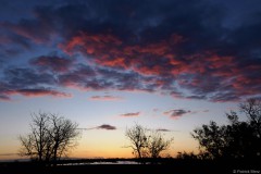 Abendhimmel in der Camargue