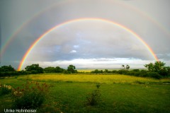 Regenbogen