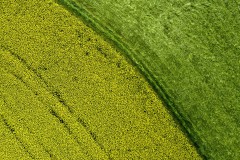 Zwei Farben
