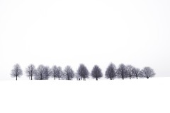 Stille Reihe