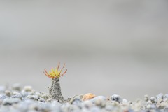 Neuanfang im Kleinen