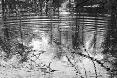 Der Stein im Wasser