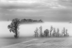 Nebelbank