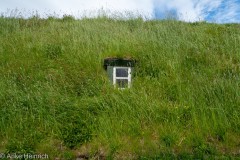 Fenster im Gras