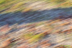 Tempo
